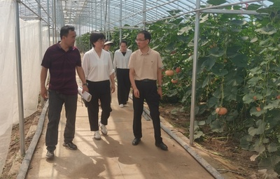 市科协调研指导高台县科技小院和科普小院建设工作